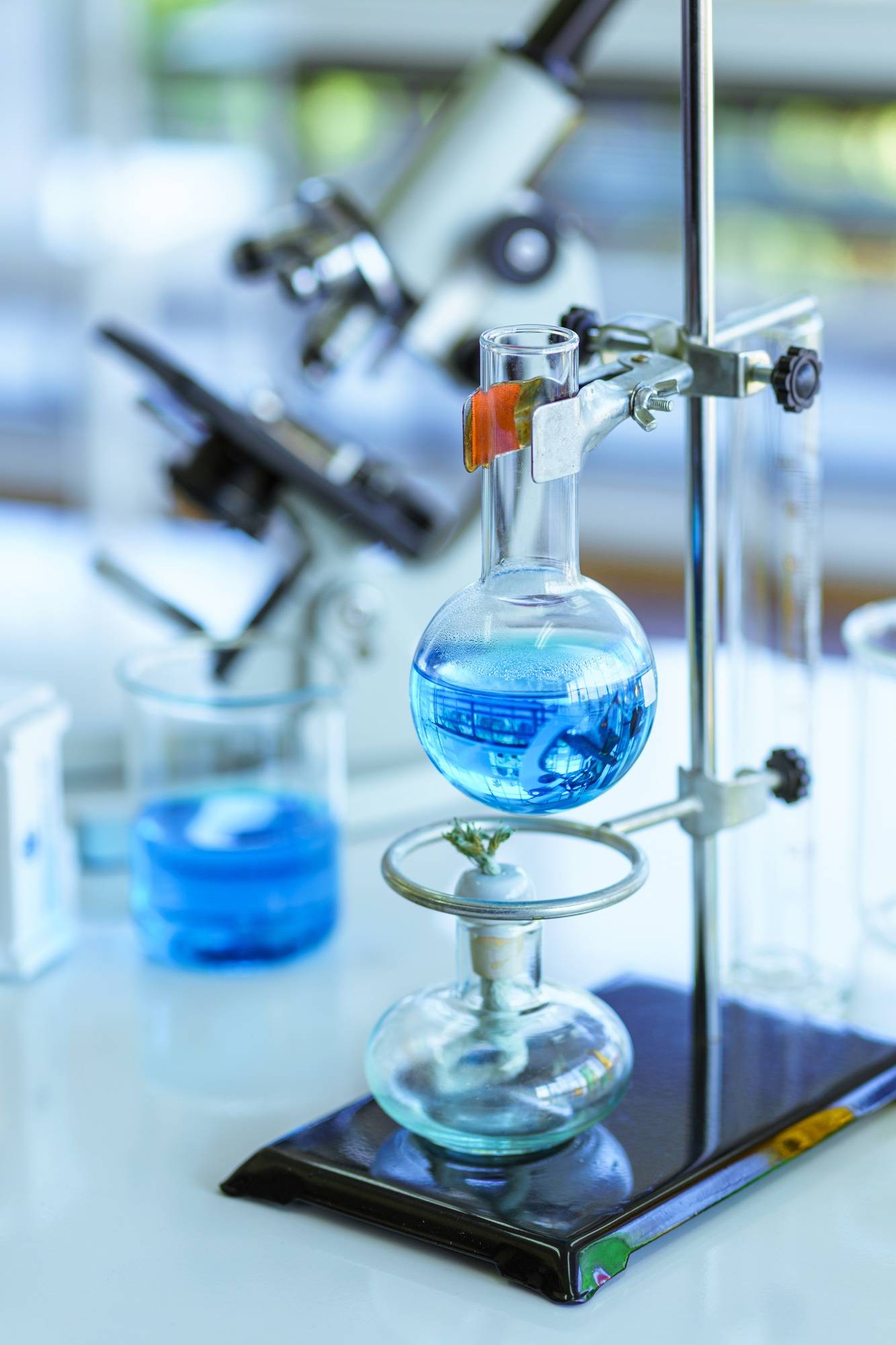 Chemical glassware with blue liquids on table in Laboratory, Equipment chemistry Science